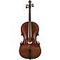 Scherl and Roth SR85M Montagnana Series Professional Cello Outfit 4/4 thumbnail