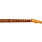 Fender Player Plus Telecaster Neck, 12" Radius, 22 Medium Jumbo Frets - Pau Ferro Natural thumbnail