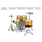 Sound Percussion Labs 5PC Unity II All In One Drum Set Gold Medal Speckle