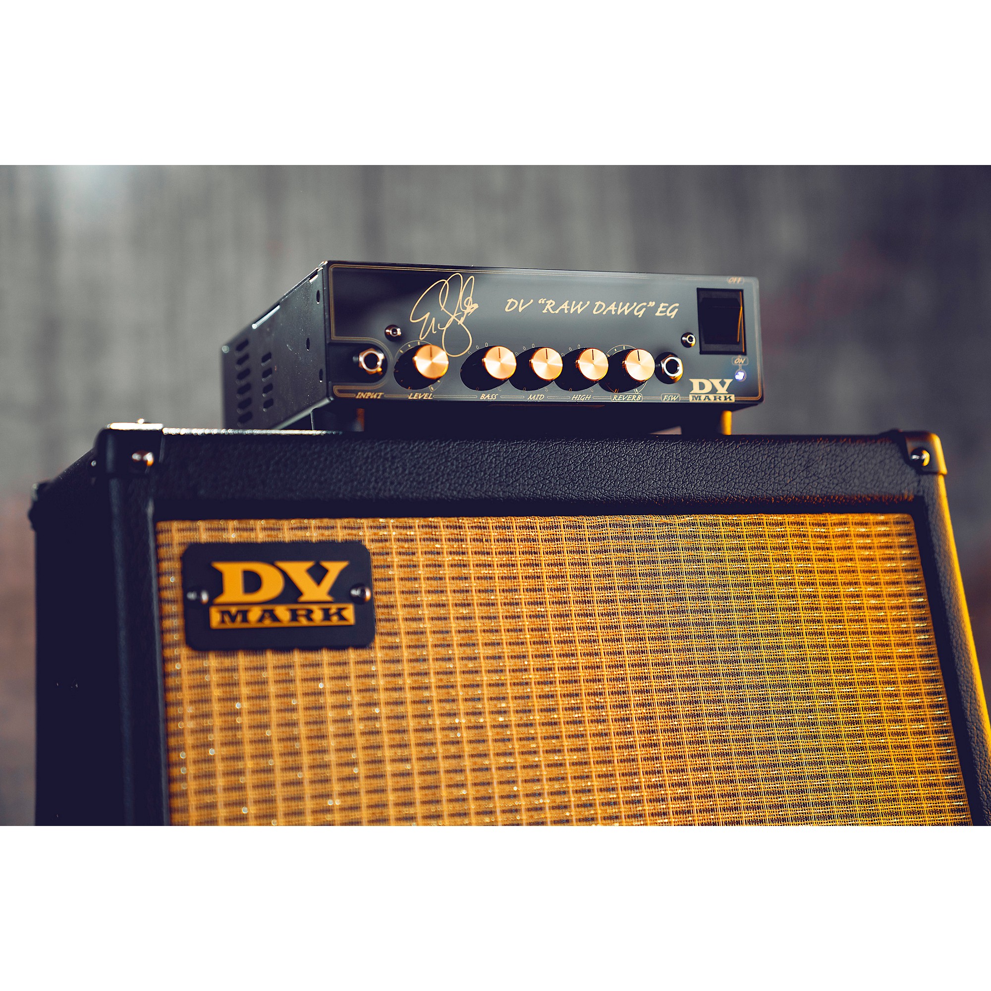 DV Mark Raw Dawg EG 250W Guitar Amp Head Black | Guitar Center