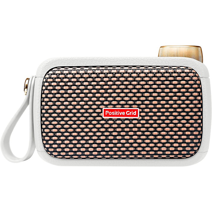 【美品】Poritive Grid Spark Go スパークGo Positive Grid Spark GO Pearl