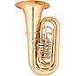 Eastman EBB825VG Professional Series BBb Tuba - Lacquer Gold Brass Bell thumbnail