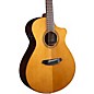 Breedlove Performer Pro Concert Acoustic-Electric Guitar Aged Toner thumbnail