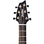 Breedlove Performer Pro Concert Acoustic-Electric Guitar Aged Toner