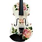Open Box Rozanna's Violins Rose Delight Violin Outfit with Carbon Fiber Bow Level 1 4/4