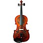 Rozanna's Violins Celtic Love Series Viola Outfit 16 in. thumbnail