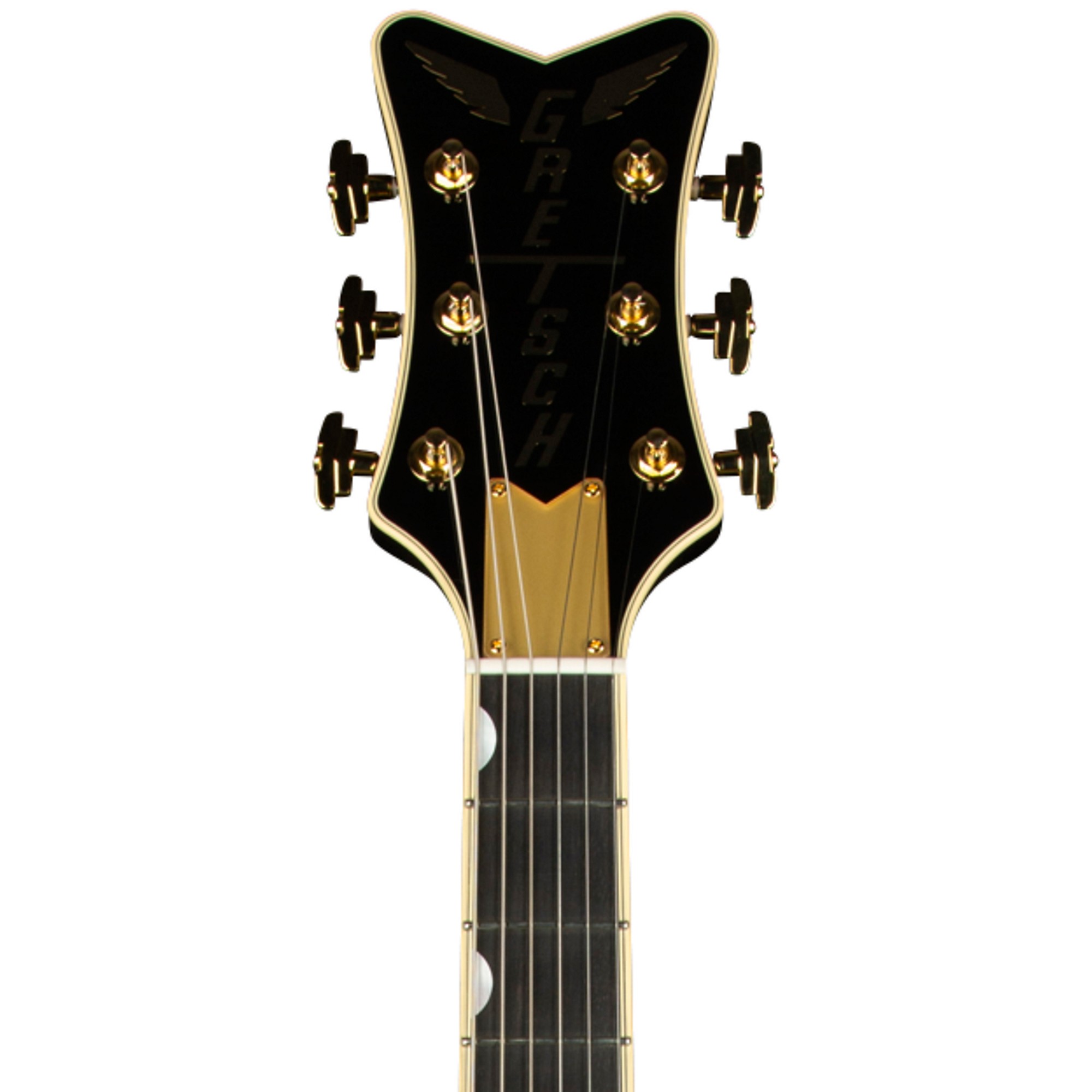 Platinum Gretsch Guitars G6134TG Limited-Edition Paisley