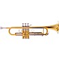 Open Box Blessing BTR-1660 Artist Series Professional Bb Trumpet Level 2 Silver plated, Yellow Brass Bell 197881084066 thumbnail