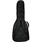 Reunion Blues RBX Hollow/Semi Hollow Guitar Gig Bag