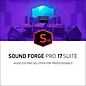 Magix SOUND FORGE Pro 17 Suite Upgrade thumbnail