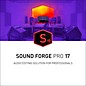 Magix SOUND FORGE Pro 17 thumbnail
