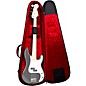 Reunion Blues Aero Series Bass Guitar Case