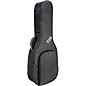Reunion Blues RBX Oxford Small Body Acoustic/Classical Guitar Gig Bag thumbnail
