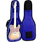 Reunion Blues RBX Electric Guitar Gig Bag