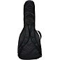 Reunion Blues RBX Small Body Acoustic/Classical Guitar Gig Bag