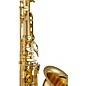 Prelude by Conn-Selmer PTS-111 Tenor Saxophone Outfit Lacquer Yellow Brass Keys