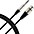 Livewire Advantage Interconnect Cable 1/4 TR... Livewire Advantage Interconnect Cable 1/4 TRS Male to XLR Female Black 10 ft.