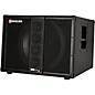 Genzler Amplification SERIES 2 BA2-115-3SLT BASS ARRAY Slant 1x15 Line Array Bass Speaker Cabinet Black thumbnail