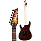 Open Box Ibanez S Series S670QM Electric Guitar Level 2 Dragon Eye Burst 197881121006
