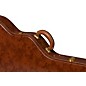 Gibson Lifton Historic Brown/Pink Hardshell Case, ES-335