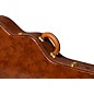 Gibson Lifton Historic Brown/Pink Hardshell Case, J-185