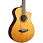 Breedlove Performer Pro Rosewood Concertina Acoustic-Electric Guitar Aged Toner thumbnail