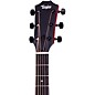 Taylor 224ce DLX Limited-Edition Grand Auditorium Acoustic-Electric Guitar Transparent Red
