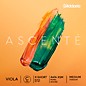 D'Addario Ascente Series Viola C String 13 to 14 in., Medium thumbnail