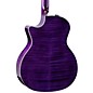 Taylor 614ce Special-Edition Grand Auditorium Acoustic-Electric Guitar Transparent Purple