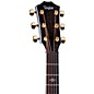 Taylor 614ce Special-Edition Grand Auditorium Acoustic-Electric Guitar Pacific Blue