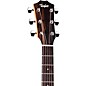 Taylor 112ce Sapele Grand Concert Acoustic-Electric Guitar Natural