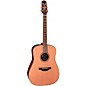 Takamine FN15 AR Acoustic-Electric Guitar Natural