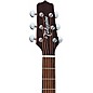 Takamine FT340 BS Acoustic-Electric Guitar Natural