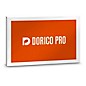 Steinberg DAC Dorico Pro 5 thumbnail