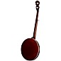 Deering Eagle II 5-String Resonator Banjo