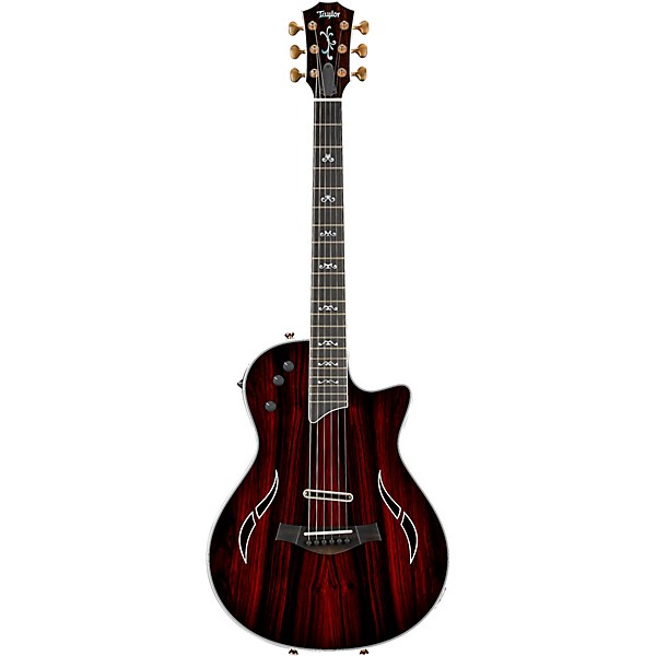 Platinum Taylor T5z Custom Cocobolo Acoustic-Electric Guitar