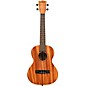 Kala Learn To Play Tenor Ukulele Starter Kit