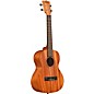 Kala Learn To Play Tenor Ukulele Starter Kit