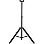 Musician's Gear Hanging Guitar Stand With Deluxe Amp Stand