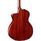 Taylor 224ce Mahogany Special-Edition Grand Auditorium Acoustic-Electric Guitar Blackwood Stain