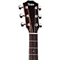 Taylor 224ce Mahogany Special-Edition Grand Auditorium Acoustic-Electric Guitar Blackwood Stain