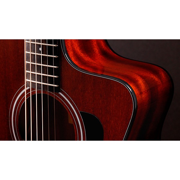 Taylor 224ce Mahogany Special-Edition Grand Auditorium Acoustic-Electric Guitar Blackwood Stain