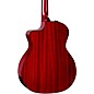 Taylor 224ce Mahogany Special-Edition Grand Auditorium Acoustic-Electric Guitar Trans Red