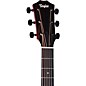 Taylor 224ce Mahogany Special-Edition Grand Auditorium Acoustic-Electric Guitar Trans Red