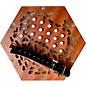 Trinity College AP-1230A Anglo-Style 30-Button Concertina Walnut