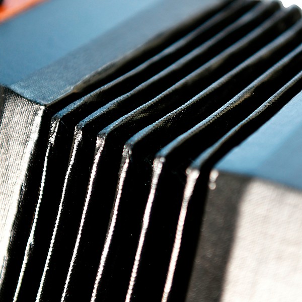 Trinity College AP-2248A English-Style 48-Button Concertina Light Brown