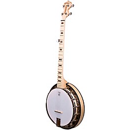 Deering Goodtime Special Deco 5-String Resonator Banjo