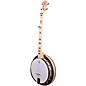 Deering Goodtime Special Deco 5-String Resonator Banjo thumbnail