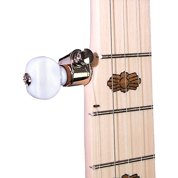 Deering Goodtime Special Deco 5-String Resonator Banjo