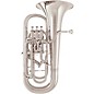 Willson 2900TA Large Shank Series Compensating Euphonium Silver plated thumbnail